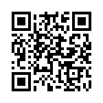 15010404601333 QRCode