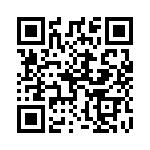 160-101GS QRCode