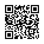 160171 QRCode