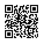 1613519 QRCode