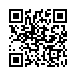 1613727 QRCode