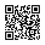 1617020-4 QRCode