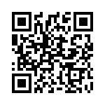 1619507 QRCode