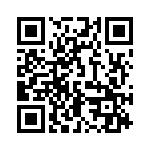 163006 QRCode