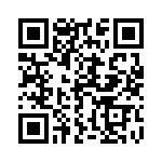 163A13839X QRCode