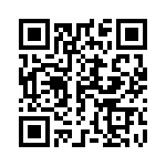 165X13399XE QRCode