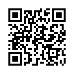 165X13419XE QRCode