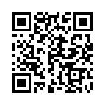 1691131300 QRCode