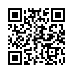 169571011203 QRCode