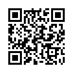 17011541601 QRCode