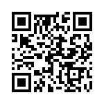 17011542035 QRCode