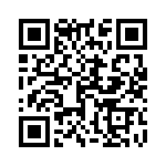 1703401036 QRCode