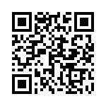 1703401038 QRCode