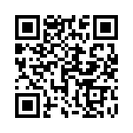 1703901028 QRCode