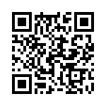 17041541204 QRCode