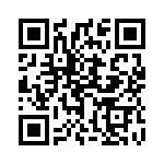 1713004 QRCode