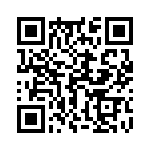 17130952204 QRCode