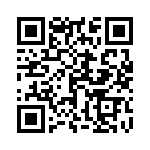 1713201020 QRCode