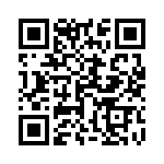 1713203022 QRCode