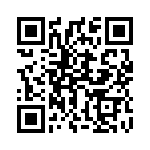 1713897 QRCode