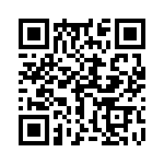 17141104204 QRCode