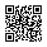 1717013 QRCode