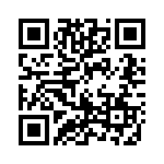 1717248-3 QRCode