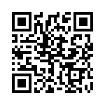 1720017 QRCode