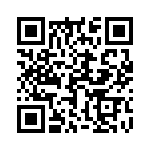 17221252101 QRCode