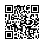 17221252102 QRCode