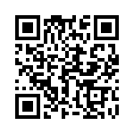 17250952102 QRCode