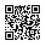 17610042101 QRCode