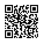 1790131 QRCode