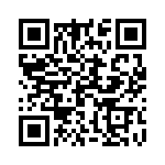 19127080411 QRCode