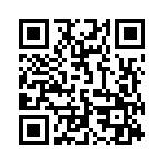 19133 QRCode