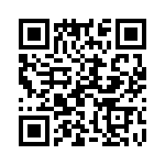 19300061750 QRCode