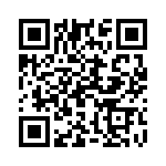 19300160438 QRCode