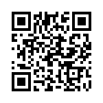 19300160538 QRCode