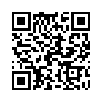 19300240666 QRCode