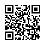 19300241296 QRCode