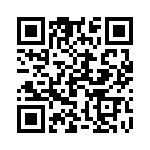 19300480292 QRCode