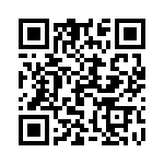 19300480293 QRCode