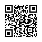 19381255 QRCode