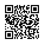 19396240548 QRCode