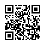 19400241271 QRCode