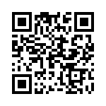 19463100252 QRCode