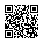 195E30 QRCode