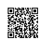 197-062-213L031 QRCode