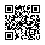 1N5333BG QRCode