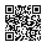 1PMT4132-TR13 QRCode